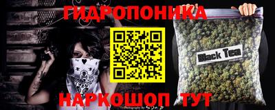 гашик Гай