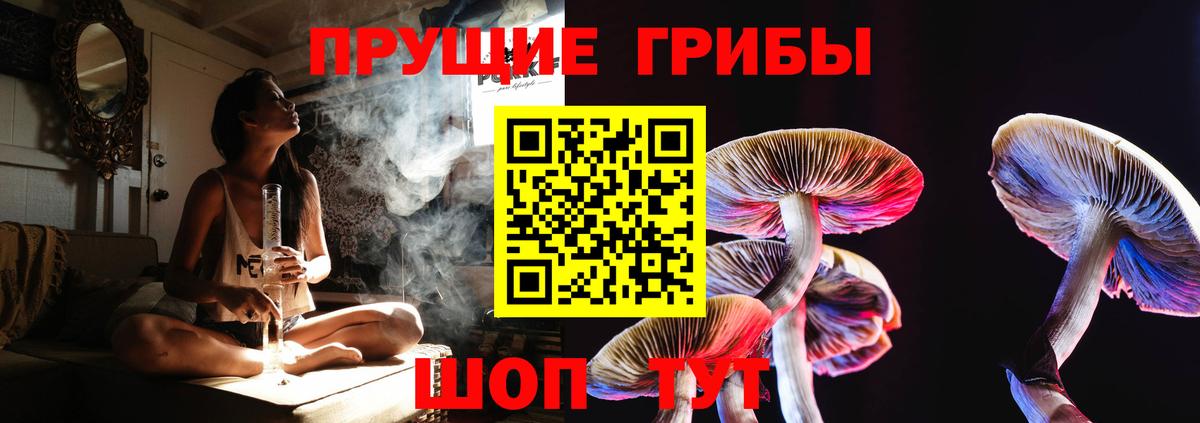 Галлюциногенные грибы GOLDEN TEACHER  Вход с VPN  Заречный  Псилоцибиновые грибы ЛСД 