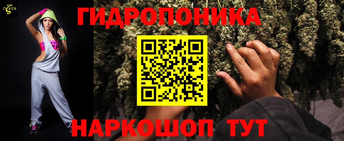 Каннабис индика Заречный